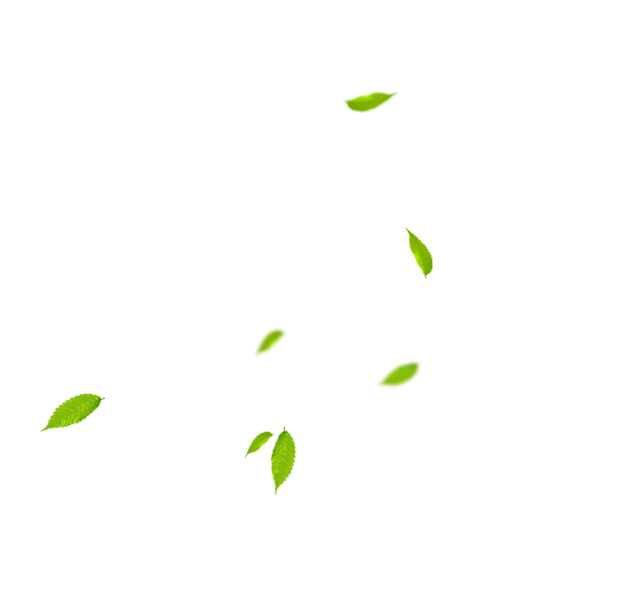 Artisan Btp Demo Agricol01 Accueil 02