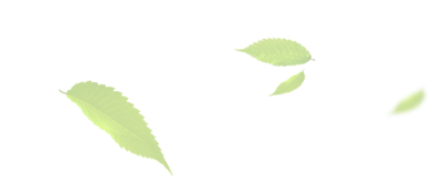 Artisan Btp Demo Agricol01 Uncategorized 19