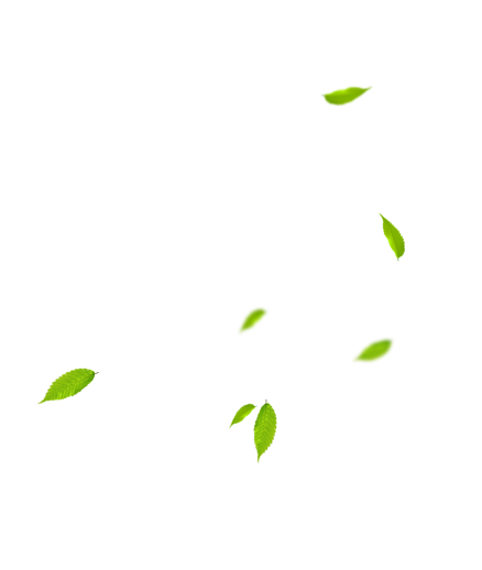 Artisan Btp Demo Agricol01 Uncategorized 23